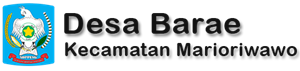 Website Desa Barae